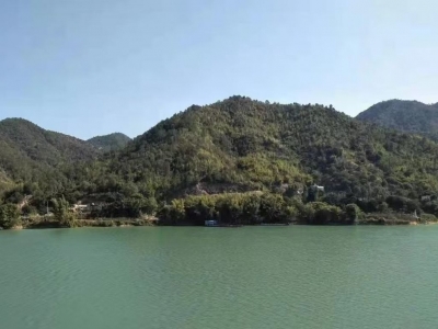李钜镇 | 韩江河上放竹排 