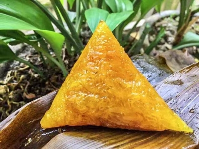 杨凤飞 | 粽子里的情怀