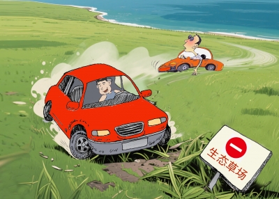 漫画｜驾车在草地玩漂移