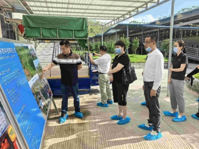 助推产业发展！广州市天河区人大常委会赴兴宁坭陂镇开展帮扶工作调研