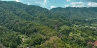 平远县加强森林防灭火基础设施建设，筑牢森林“防火墙”！