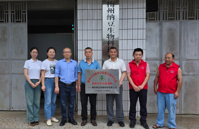 科技赋能红菌豆腐产业提质发展！市农林科学院微生物研究所与梅州纳豆生物公司共建“科技合作示范基地”