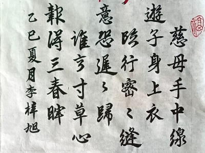 梅江区人民小学李梓旭丨书法