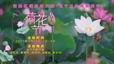 梅州V视丨党建红领航农文旅·百千万绘就新蓝图，新圩镇荷花节宣传片