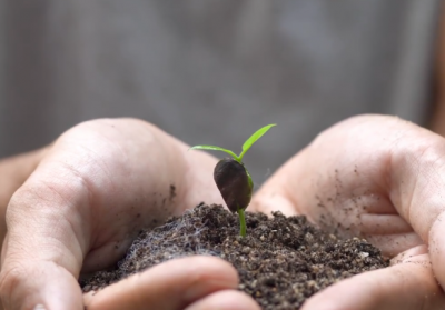 微视频｜共建清洁美丽世界