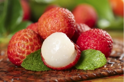 《长安的荔枝》今晚开播！这一口，凭什么让全网疯狂？