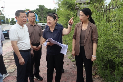 蓝伟东到梅县区畲江镇调研督导“百千万工程”等工作