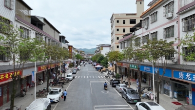 蕉岭县广福镇大坝村：全力打造产业兴、环境美、治理优的绿色和美村庄