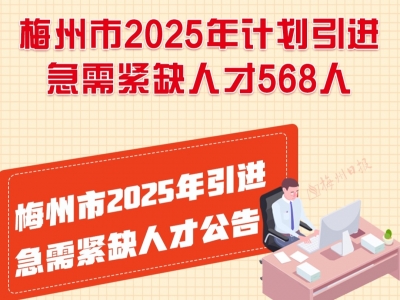 一图读懂丨梅州市2025年引进急需紧缺人才公告
