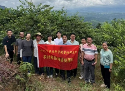 平远县河头镇人才驿站开展三华李产业提质增效科技服务活动