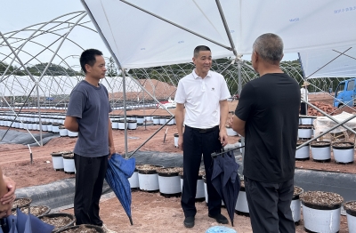 赋能蓝莓产业“智富”路 平远县镇驿站送上政策“服务包”