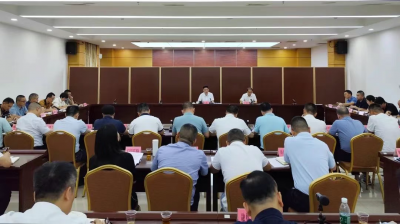 兴宁市农村生活污水治理推进现场会召开