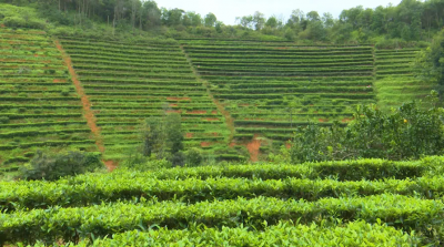 兴宁市径南镇：产业社区“点绿成金” 产业集群蓄势腾飞