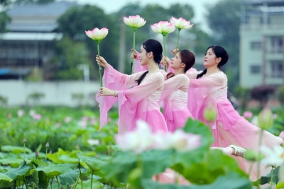 党建红领航农文旅·百千万绘就新新圩！6月至7月，来兴宁新圩打卡荷花节，每周都有主题活动