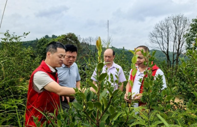 兴宁市新陂镇：发挥“人才驿站”功能，“智助”高质量发展！