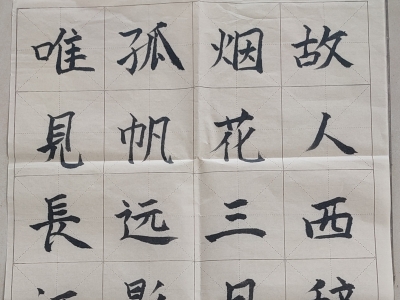 梅江区金山小学王梓坤丨书法　