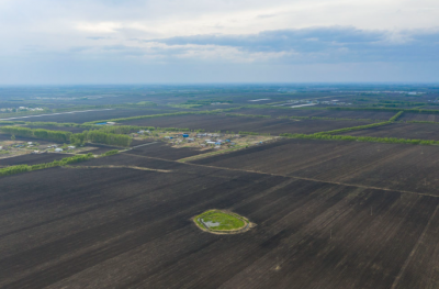 镜观·回响｜像保护大熊猫一样保护黑土地