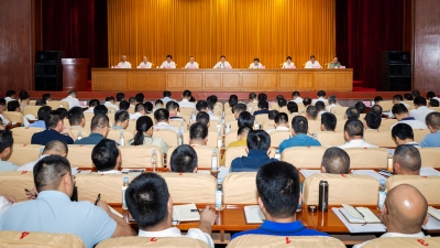 2025年市委农村工作会议暨深入实施“百县千镇万村高质量发展工程”推进会召开