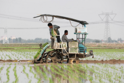 时政微观察丨牢牢守住耕地保护红线，总书记念兹在兹