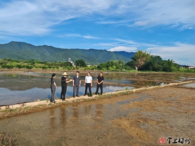210多亩土地“耕”新了！蕉岭法院化解涉农土地矛盾纠纷