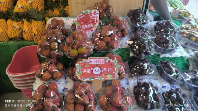 66给荔节火热开展，广东荔枝传递全国祝福