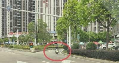 逆向行驶危害大，驾车不能“任我行”！