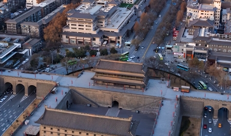 习语丨“中华文明延绵至今，正是因为有这种根的意识”