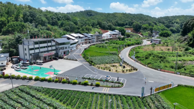 清一片、净一片、美一片！兴宁市径南镇片片焕新颜 