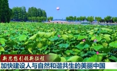 新思想引领新征程丨加快建设人与自然和谐共生的美丽中国