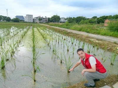 念好“引、育、用”三字诀！兴宁新陂镇发挥“人才驿站”功能“智助”高质量发展