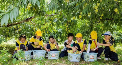 “双百行动”乡村文旅产业典型案例，蕉岭+1！