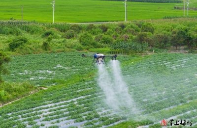 农事生产忙，无人机来帮！科技助力“百千万工程”无人机植保公益活动走进蕉岭白马村