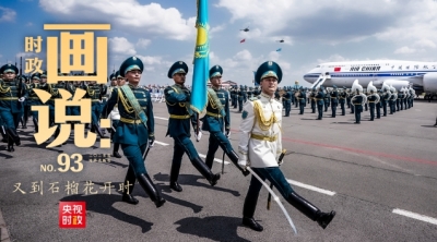 时政画说丨又到石榴花开时