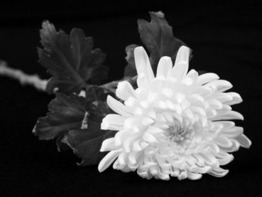 许其亮同志遗体在京火化  习近平等到八宝山革命公墓送别