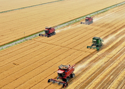 一习话｜“中国人要把饭碗端在自己手里”