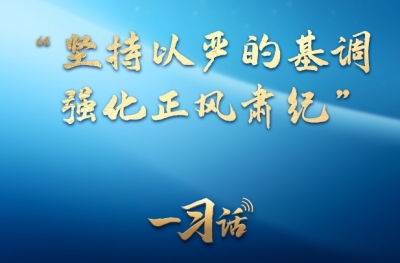 一习话丨“坚持以严的基调强化正风肃纪”