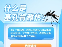 这里有一份基孔肯雅热防护科普指南，请查收