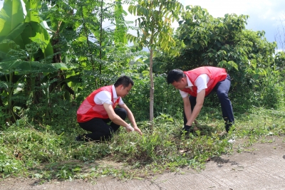 青春护绿践初心  建党华诞添新颜！团五华县委开展青年林管护志愿活动