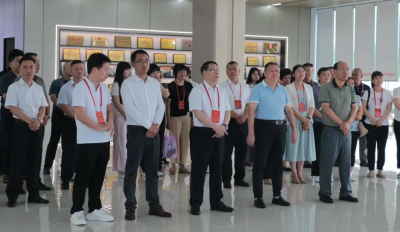 兴宁市人大常委会组织在兴省、梅州市人大代表视察兴宁建设现代化产业体系工作开展情况