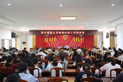 五华县转水镇开展灭蚊消杀行动：筑牢群众健康防线