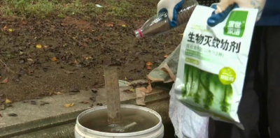 清洁环境 默默“无蚊”！平远县开展夏季灭蚊消杀活动