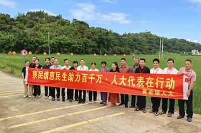 履职月里践初心 为民担当促发展！丰顺县黄金镇人大开展集中履职月活动侧记