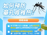 这里有一份基孔肯雅热防护科普指南，请查收