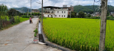年久失修淤积严重的灌溉圳道，如今通了！