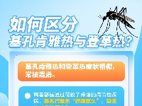 这里有一份基孔肯雅热防护科普指南，请查收