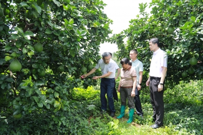 广州市荔湾区驻梅县区松源镇驻镇帮镇扶村工作队：“驻”入真情，“帮”出实效！