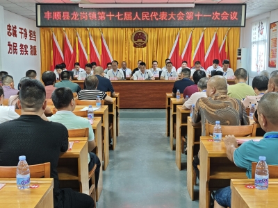 张新乐当选为丰顺县龙岗镇副镇长