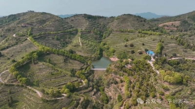 平远县石正镇以农文旅融合助力乡村振兴 客家炒绿串联山水人文