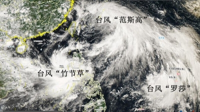 今年首次“三台共舞”，台风为何扎堆来袭？