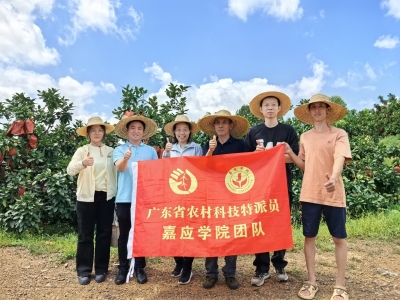 田间来了“气象哨兵”！科技特派员为梅州柚“把脉”提质